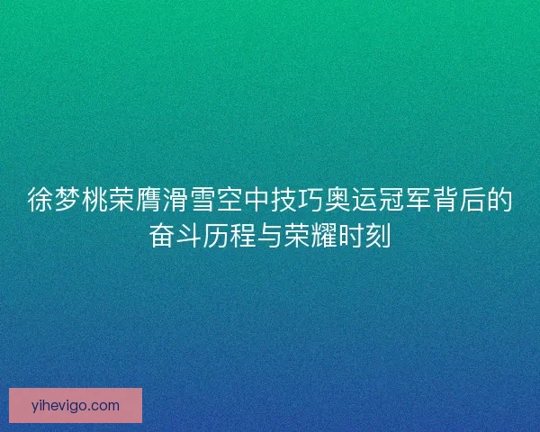 徐梦桃荣膺滑雪空中技巧奥运冠军背后的奋斗历程与荣耀时刻